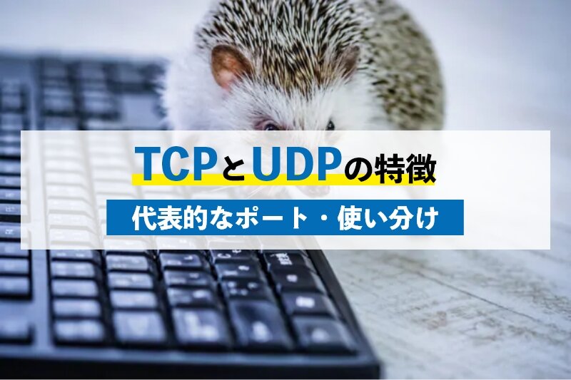 TCPとUDPの主な特徴6つ｜代表的なポート番号や使い分ける方法も紹介