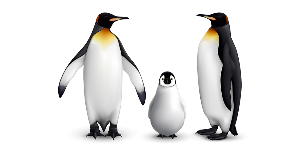 UNIXとは?利用するメリット・デメリットやLinuxとの違いを解説